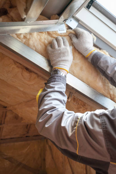 Best Energy-efficient Insulation  in Wilsons Mills, NC