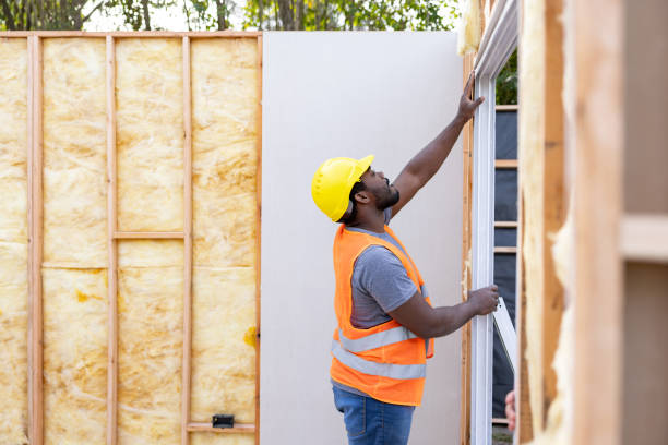 Best Wall Insulation Contractor  in Wilsons Mills, NC