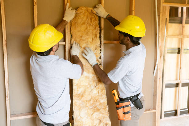 Best Attic Insulation Installation  in Wilsons Mills, NC