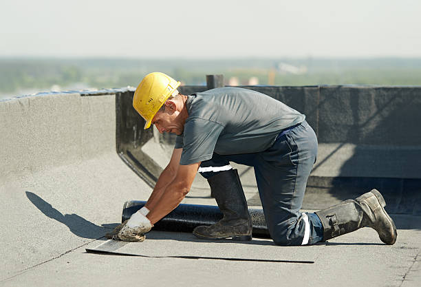 Best Commercial Insulation Contractor  in Wilsons Mills, NC