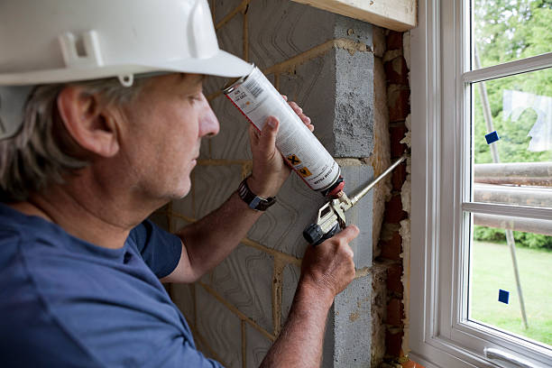 Best Spray Foam Insulation  in Wilsons Mills, NC