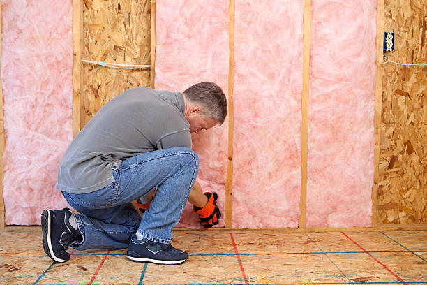Best Garage Insulation Installation  in Wilsons Mills, NC