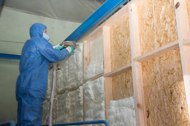 Best Insulation Inspection Services  in Wilsons Mills, NC
